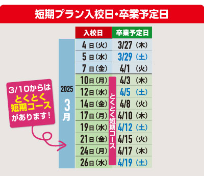 スケジュール